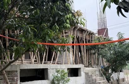 First Floor (Unit C)